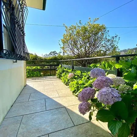 The Cliffs - The Area Nightfall Viveiro