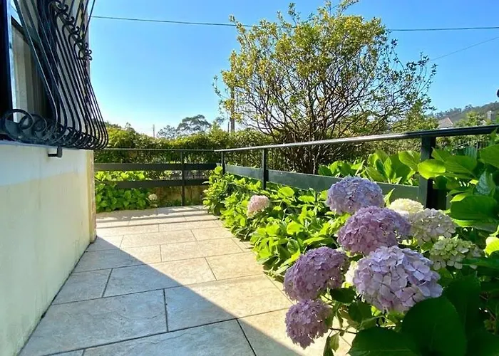 The Cliffs - The Area Nightfall Viveiro